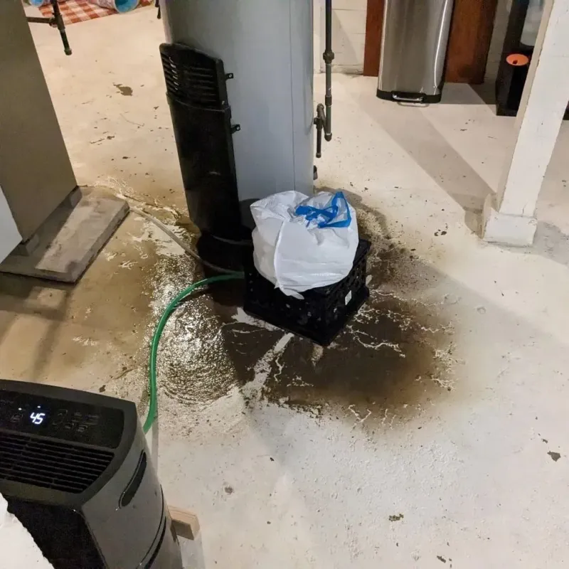 Sewage Backup Cleanup Service in Evendale, OH